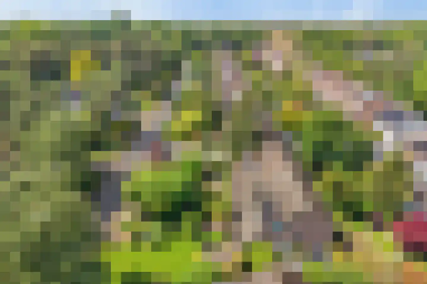 Berkenlaan 37 Velden thumbnail 34