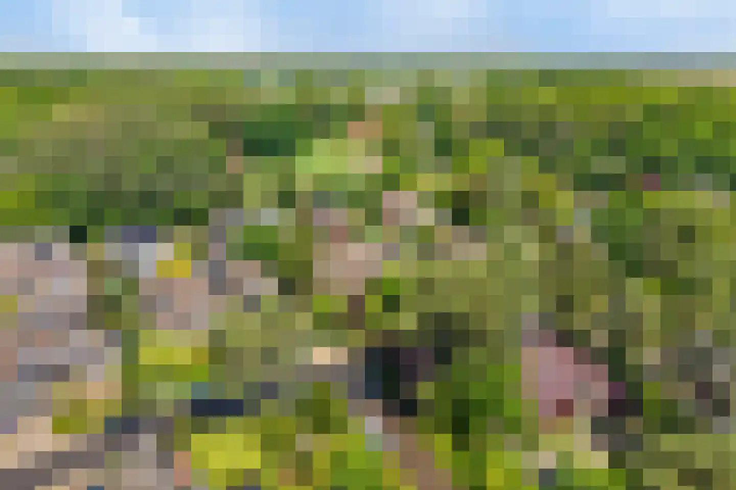 Berkenlaan 37 Velden thumbnail 35