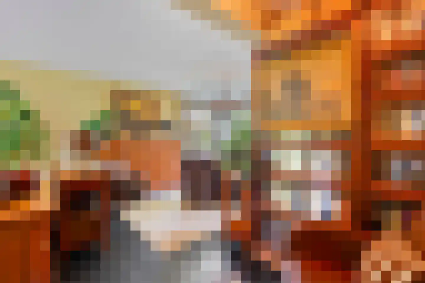 Berkenlaan 37 Velden thumbnail 5