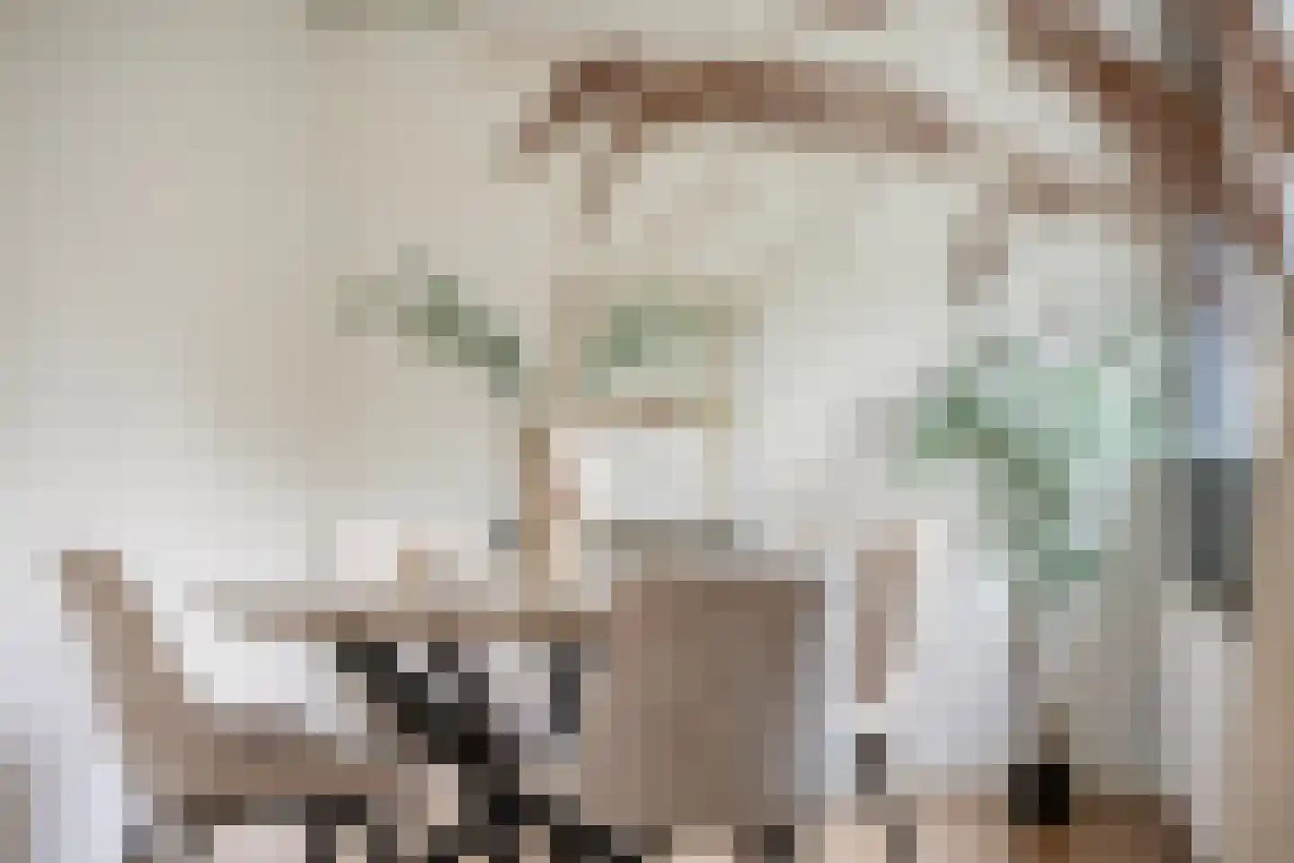 Berkenlaan 375 Zutphen thumbnail 18