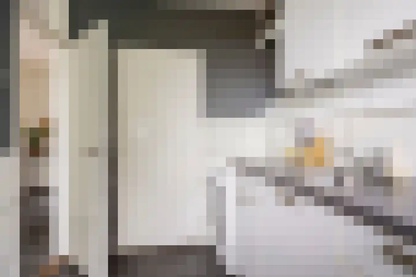 Berkenlaan 375 Zutphen thumbnail 23