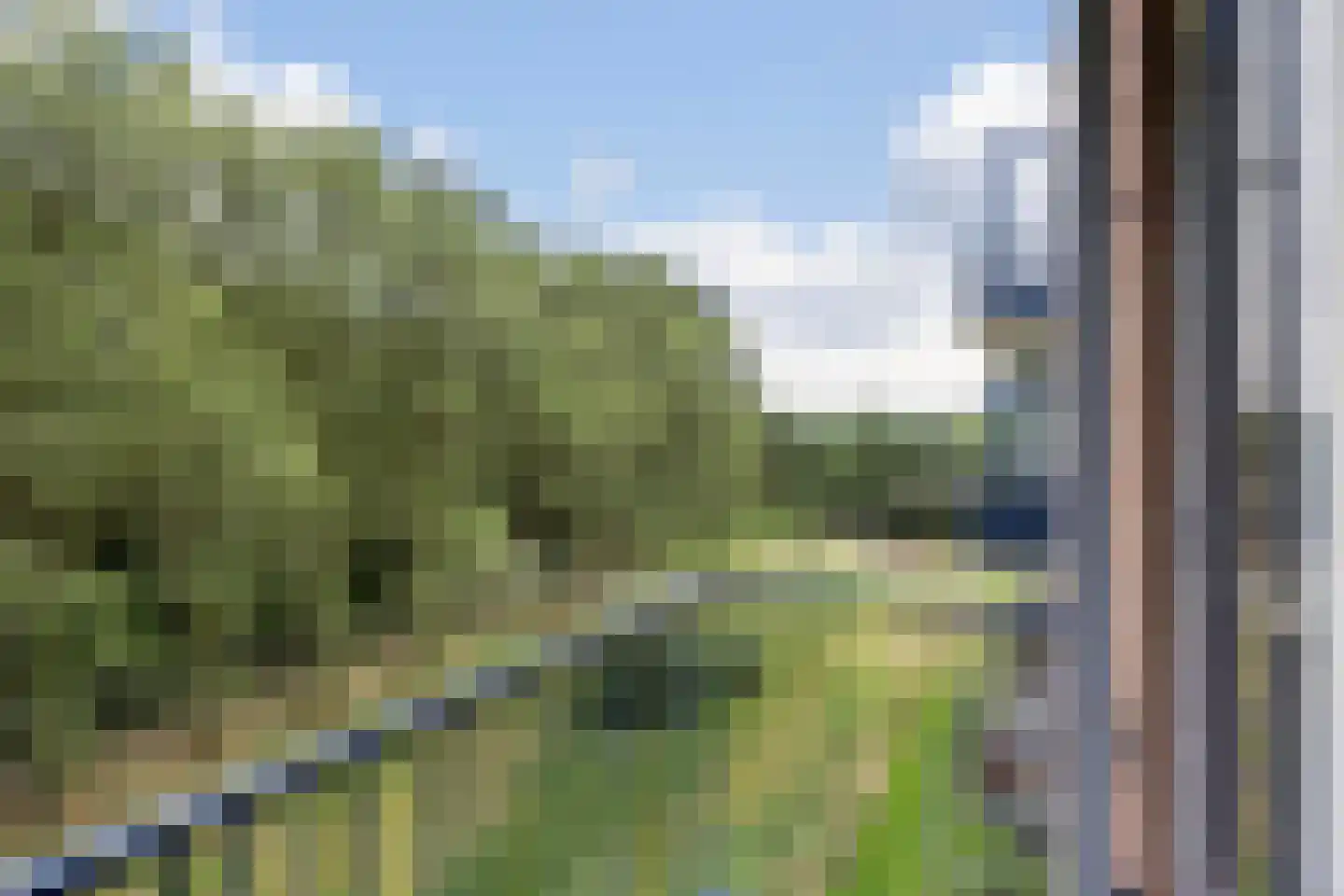 Berkenlaan 375 Zutphen thumbnail 30