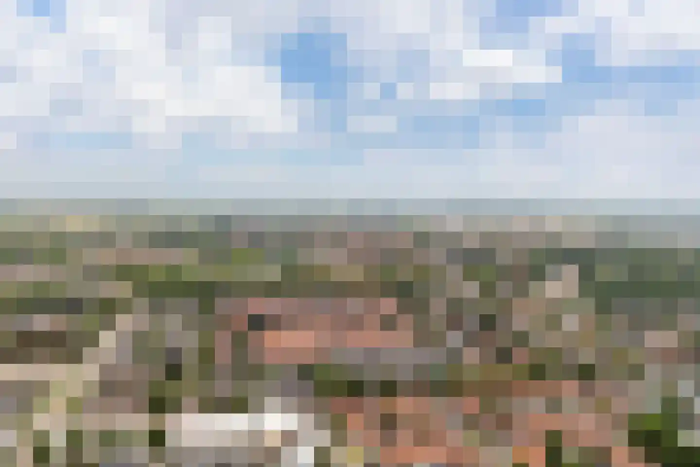 Berkenlaan 375 Zutphen thumbnail 39