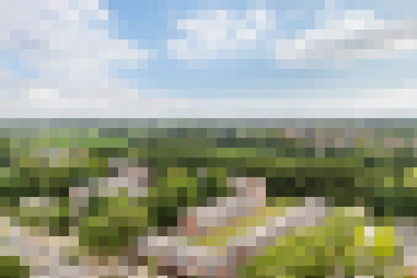 Berkenlaan 375 Zutphen thumbnail 40