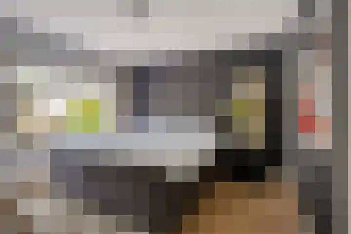 Berkenlaan 38 Sint-Michielsgestel thumbnail 16