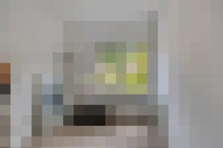 Berkenlaan 38 Sint-Michielsgestel thumbnail 24