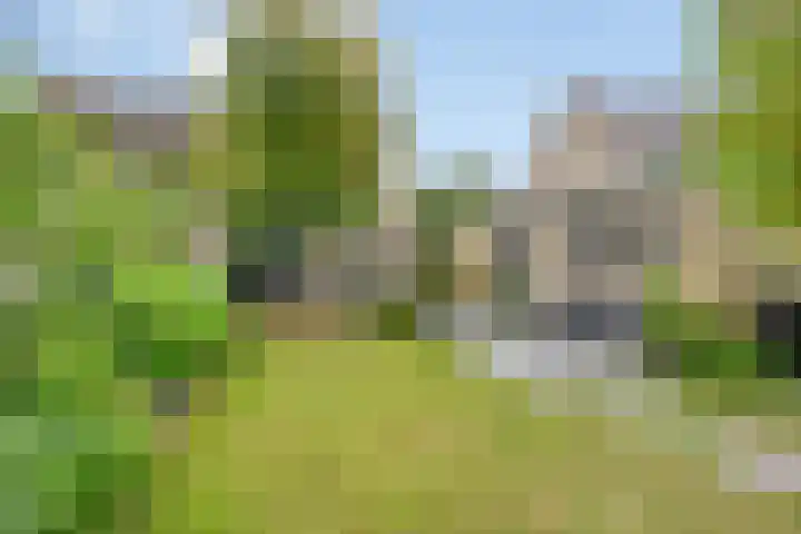 Berkenlaan 38 Sint-Michielsgestel thumbnail 30