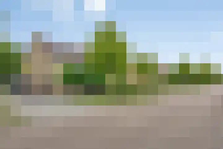 Berkenlaan 38 Sint-Michielsgestel thumbnail 32