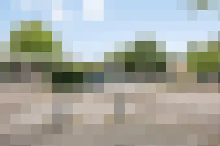 Berkenlaan 38 Sint-Michielsgestel thumbnail 34