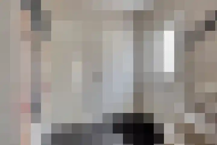 Berkenlaan 38 Sint-Michielsgestel thumbnail 5