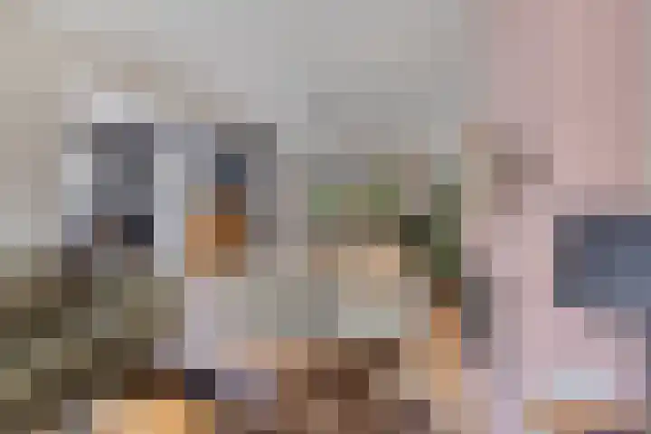 Berkenlaan 38 Sint-Michielsgestel thumbnail 8