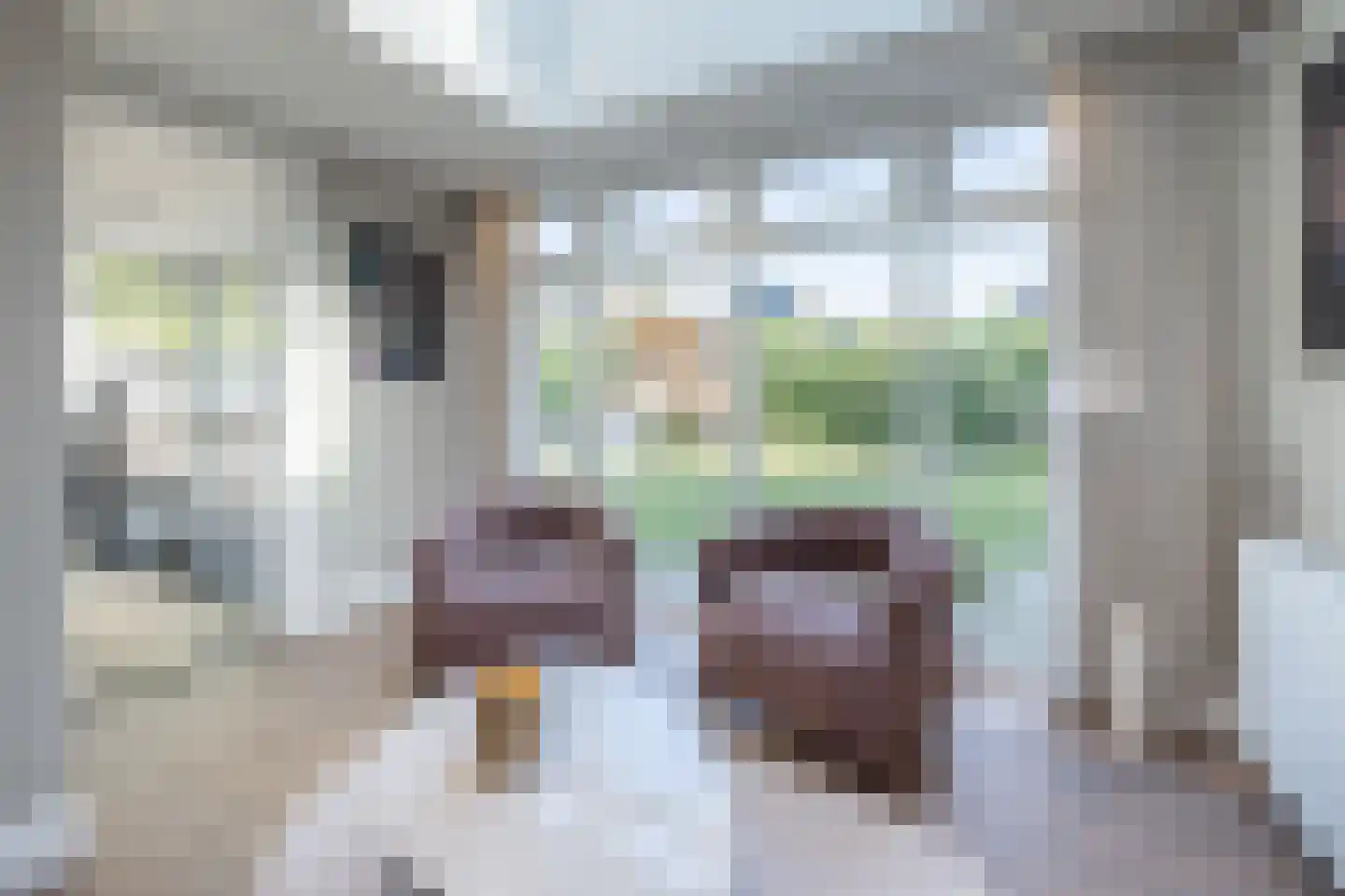 Berkenlaan 39 Barneveld thumbnail 15
