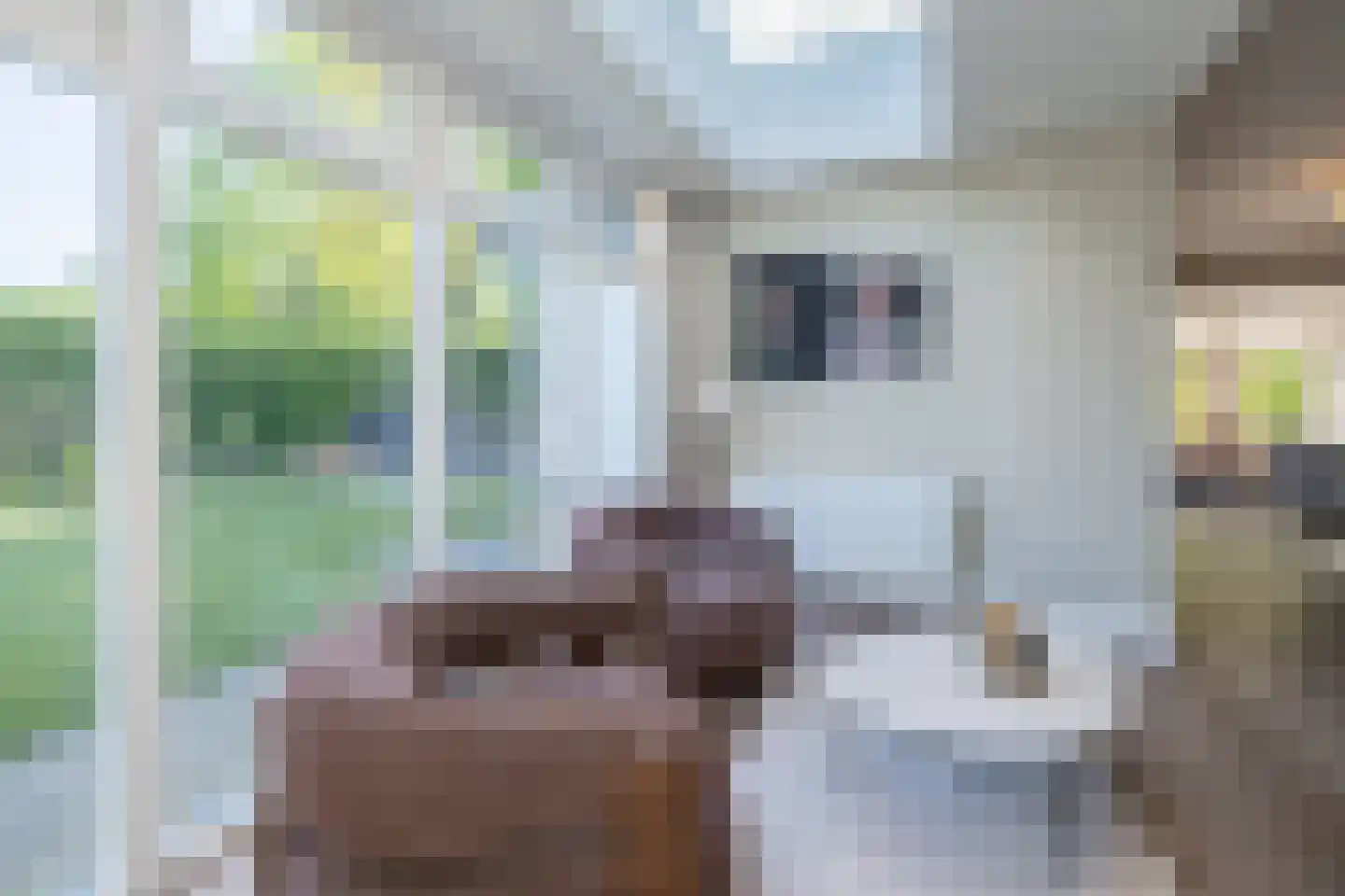 Berkenlaan 39 Barneveld thumbnail 16
