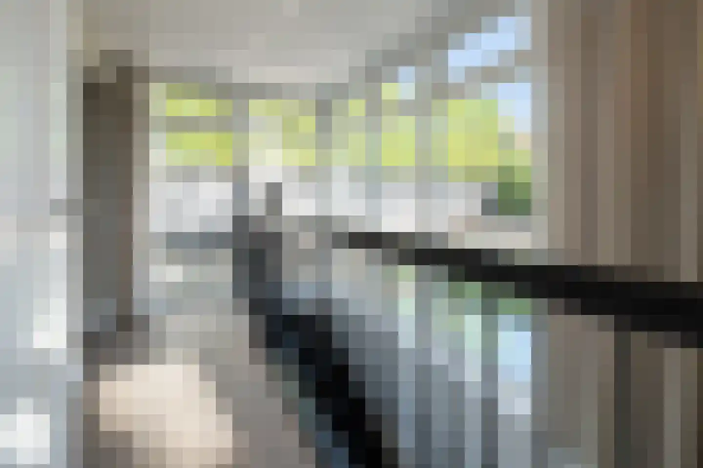 Berkenlaan 39 Barneveld thumbnail 38