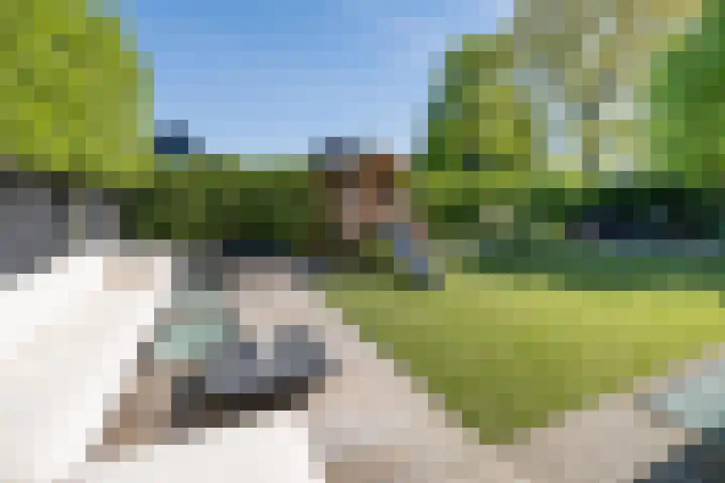 Berkenlaan 39 Barneveld thumbnail 64