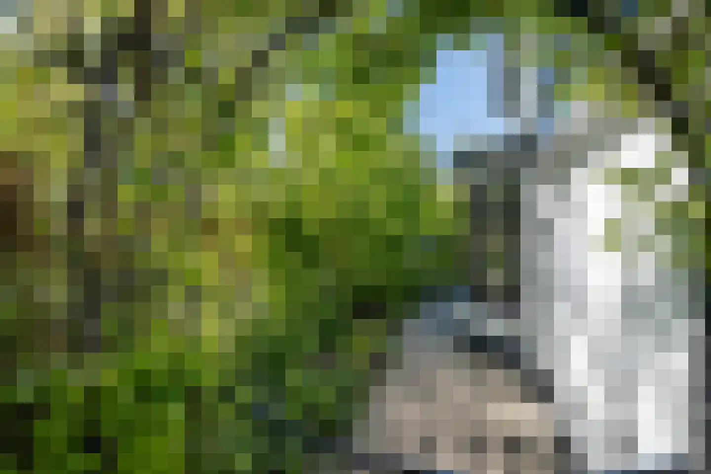 Berkenlaan 39 Barneveld thumbnail 67