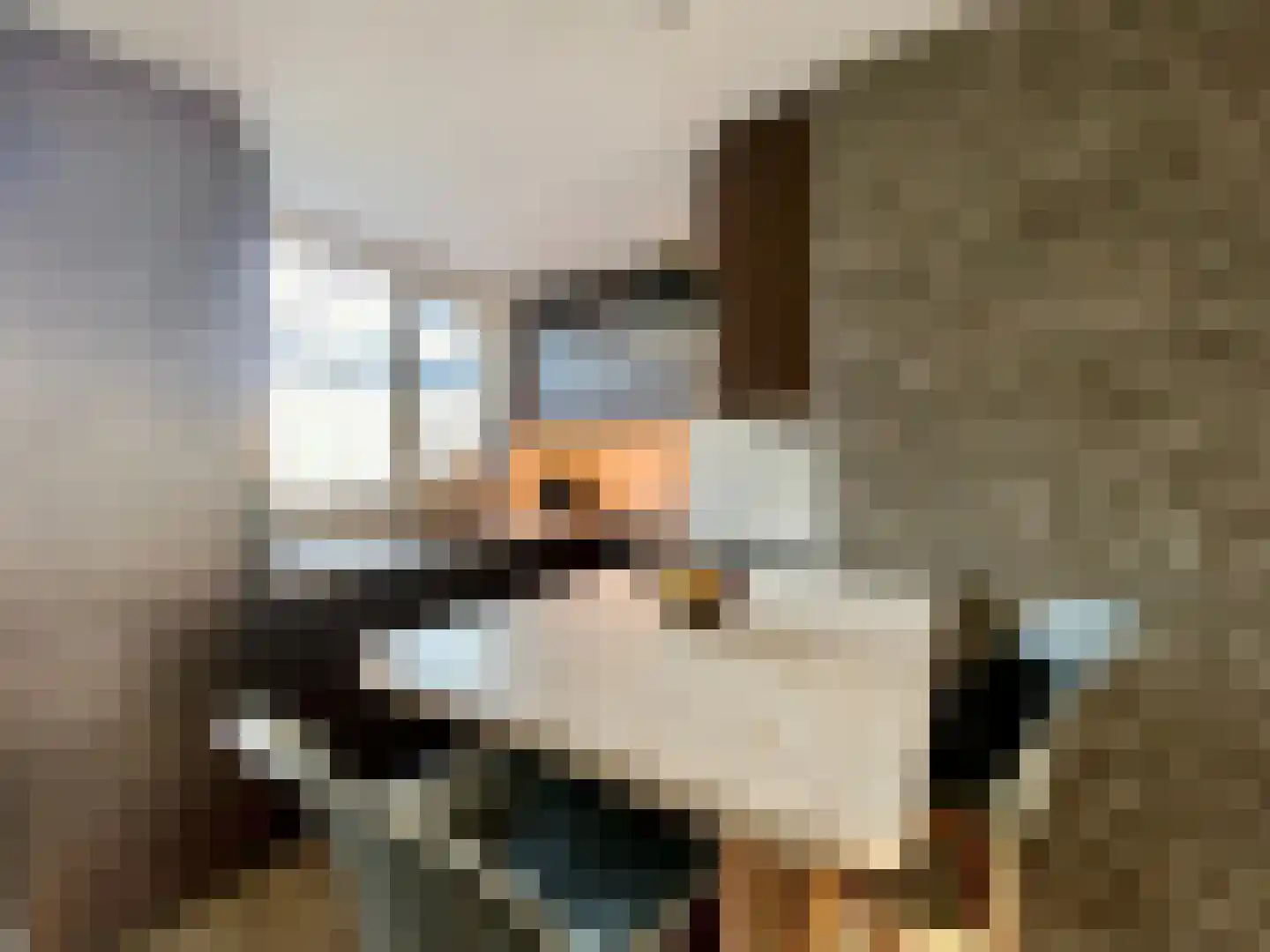Berkenlaan 39 Vlodrop thumbnail 11