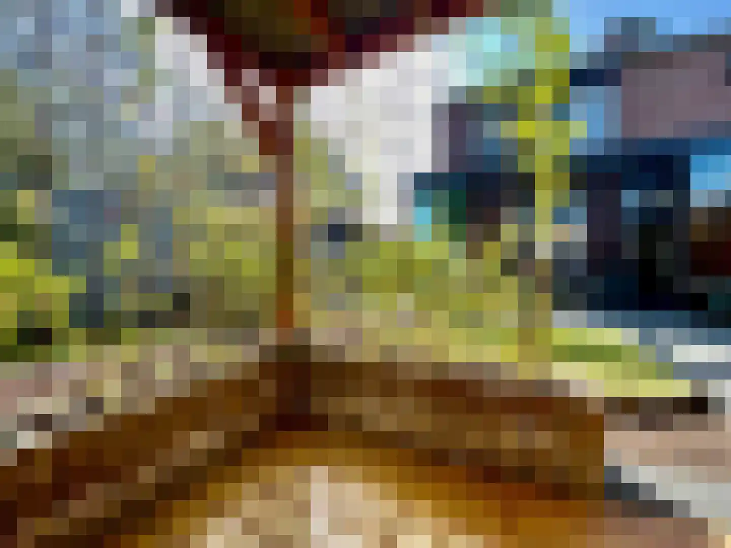 Berkenlaan 39 Vlodrop foto 2