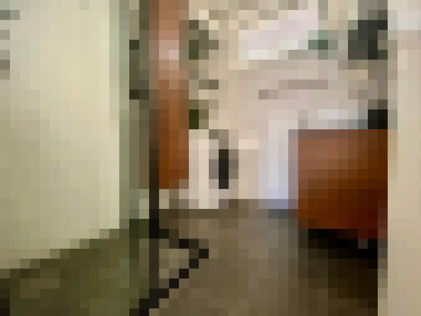 Berkenlaan 39 Vlodrop thumbnail 22