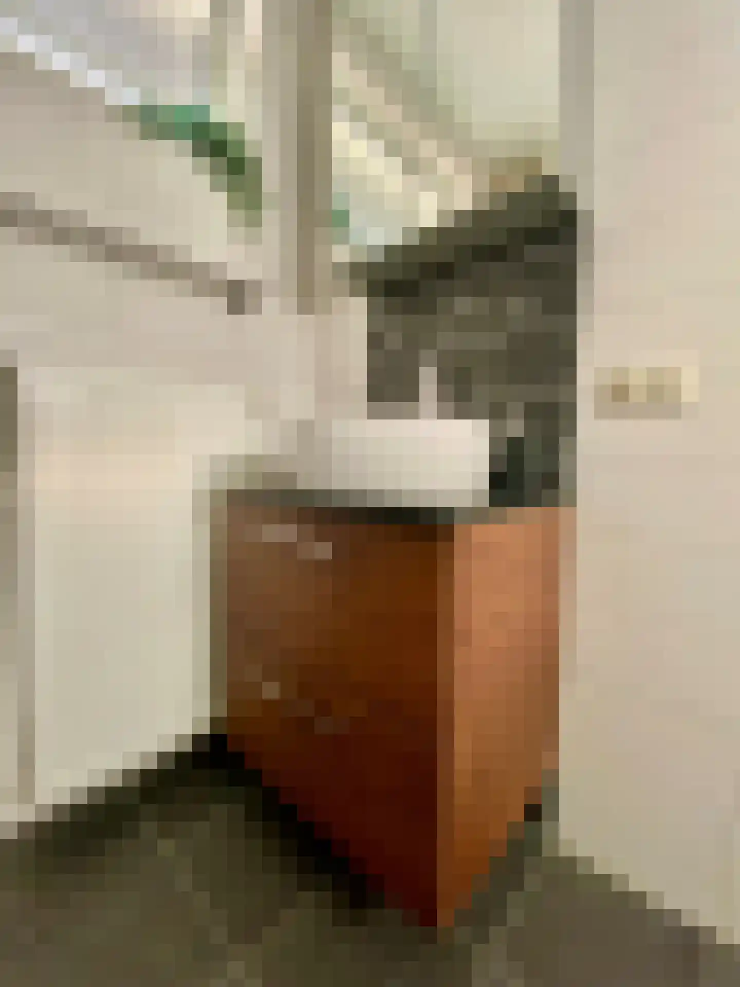 Berkenlaan 39 Vlodrop thumbnail 24