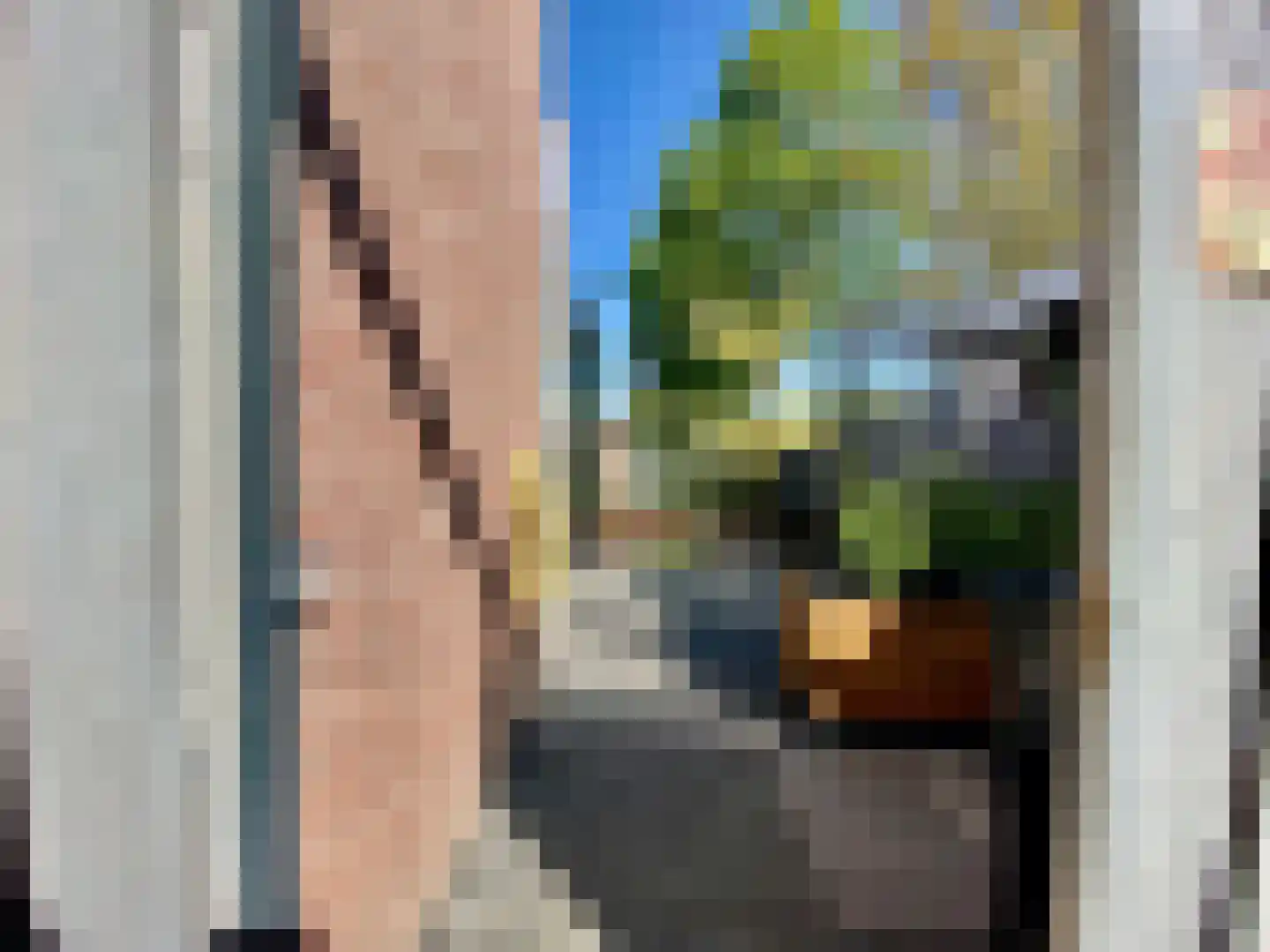 Berkenlaan 39 Vlodrop thumbnail 31