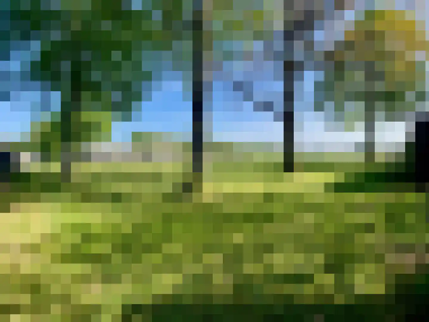 Berkenlaan 39 Vlodrop thumbnail 37