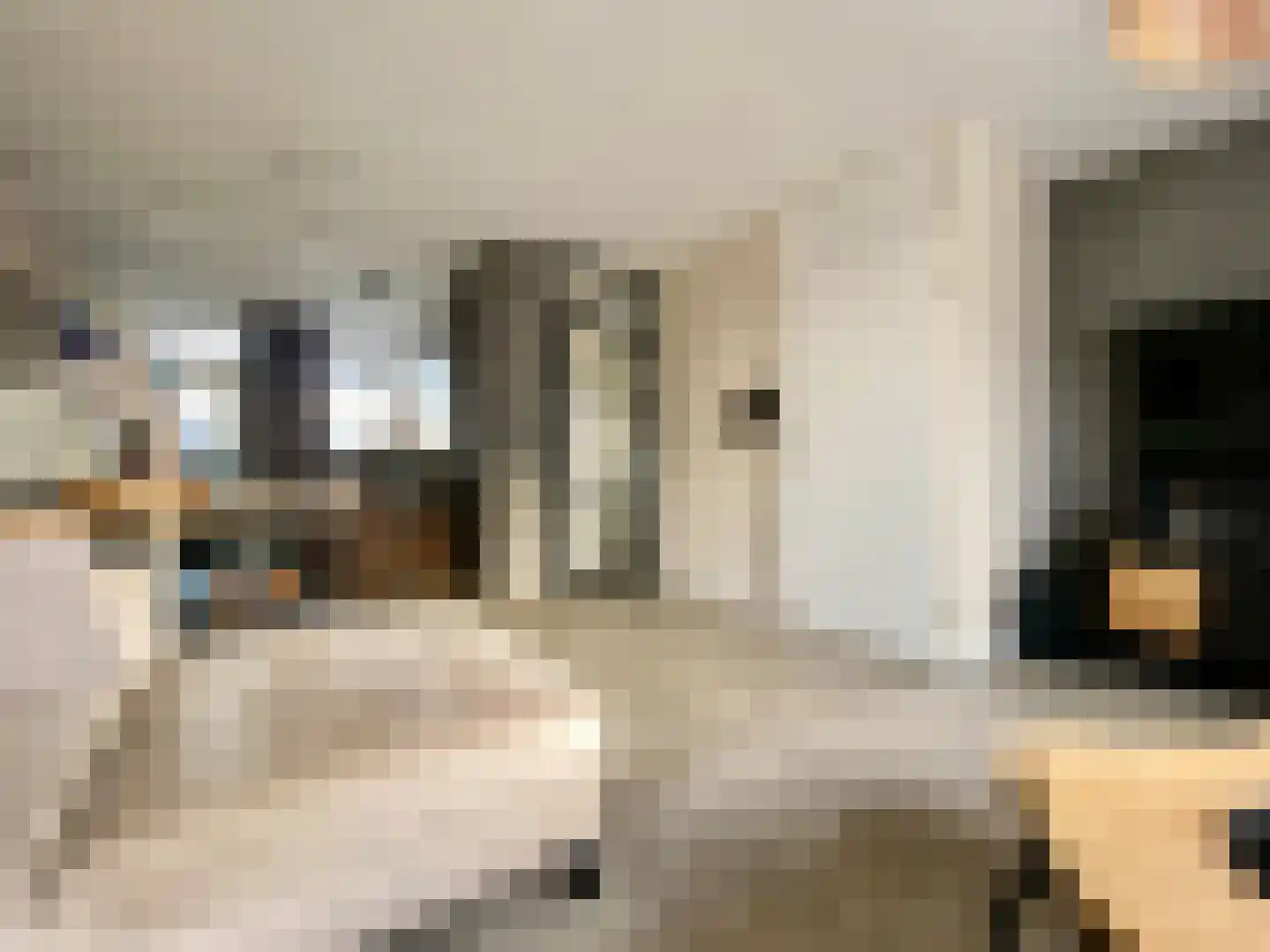 Berkenlaan 39 Vlodrop thumbnail 5