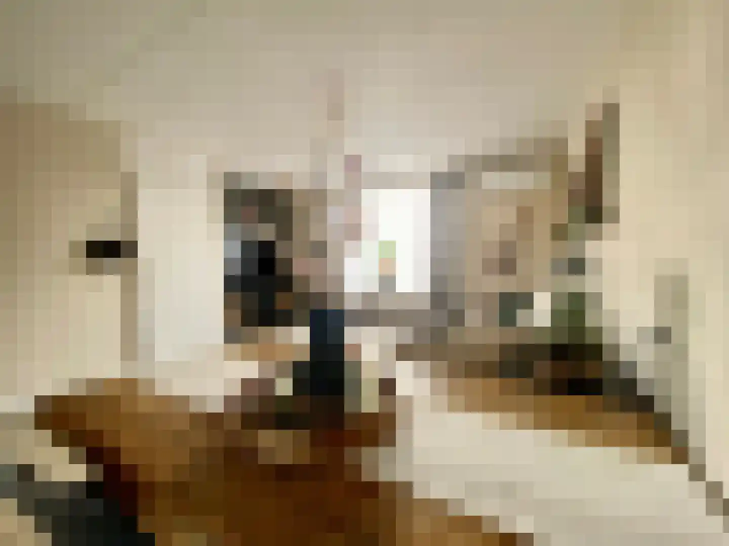 Berkenlaan 39 Vlodrop thumbnail 6