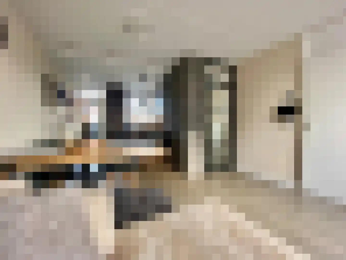 Berkenlaan 39 Vlodrop thumbnail 7