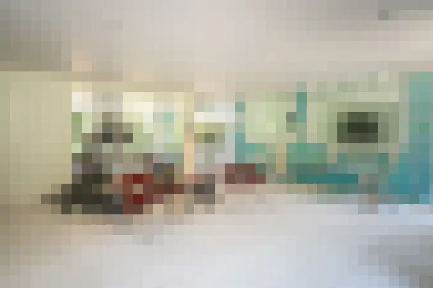 Berkenlaan 4 A Epe thumbnail 17