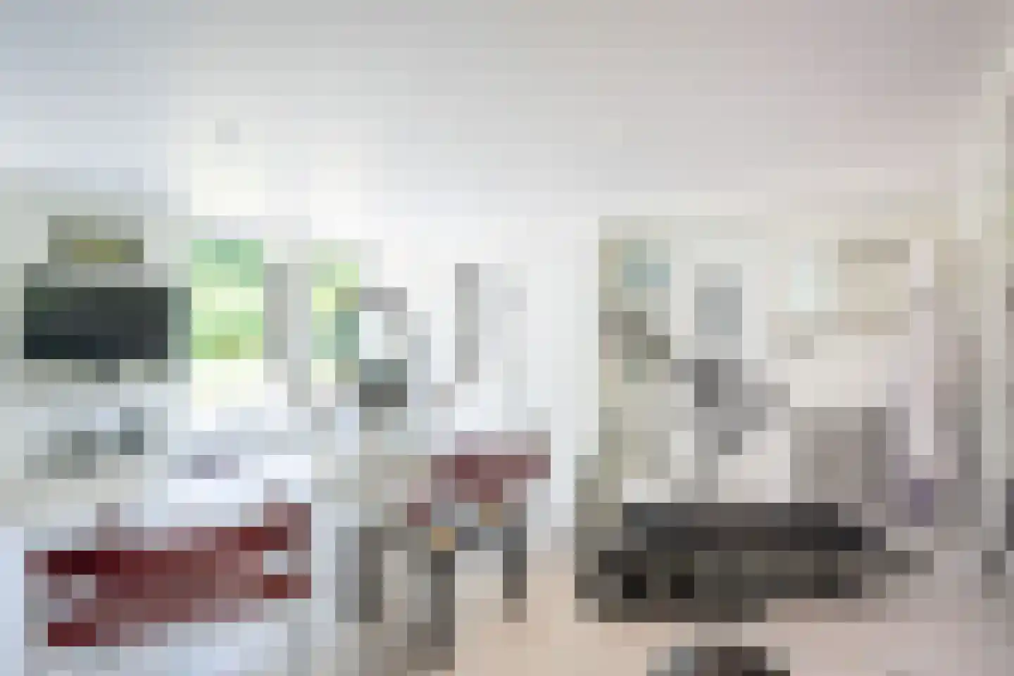 Berkenlaan 4 A Epe thumbnail 18