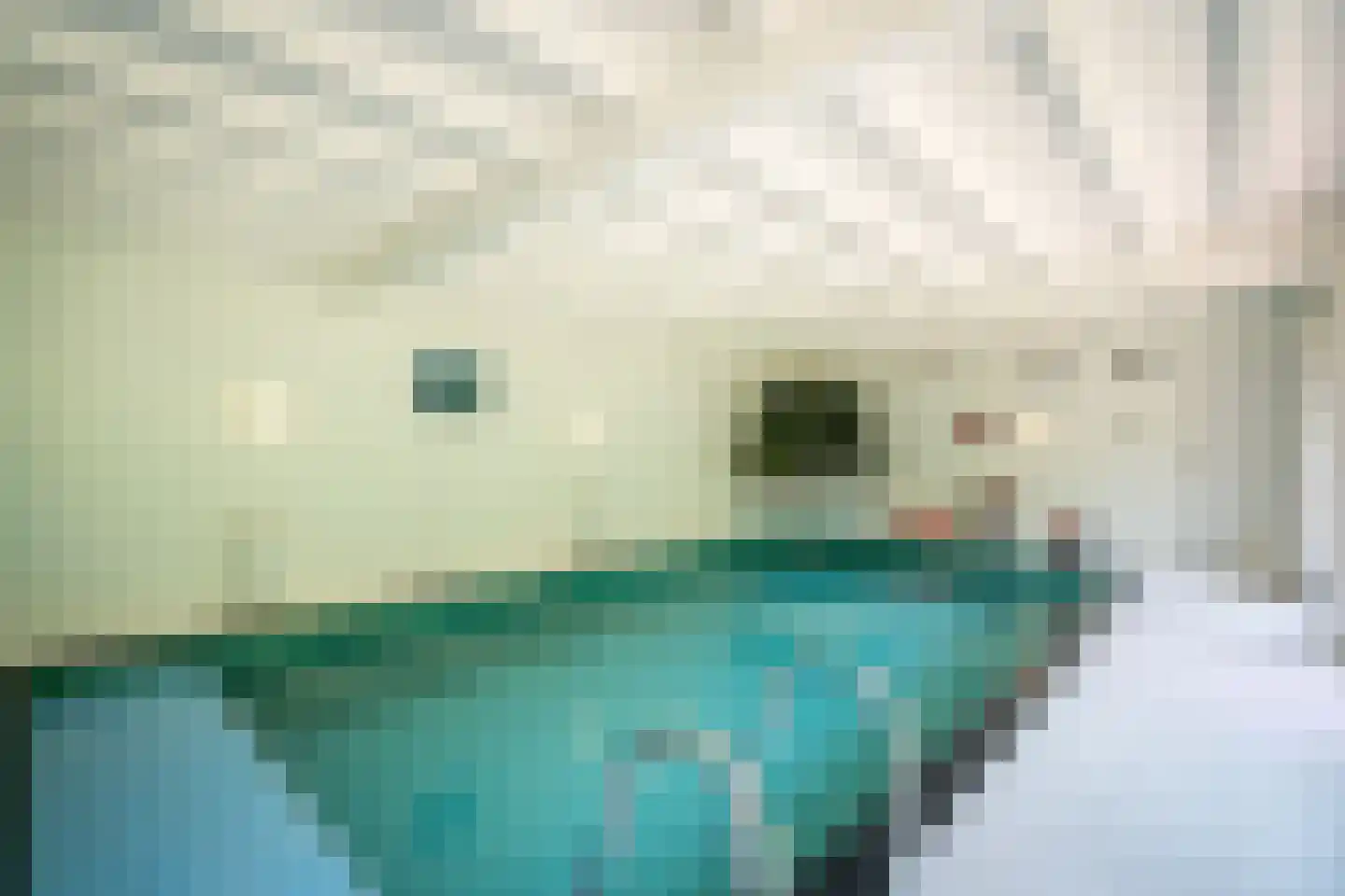 Berkenlaan 4 A Epe thumbnail 19