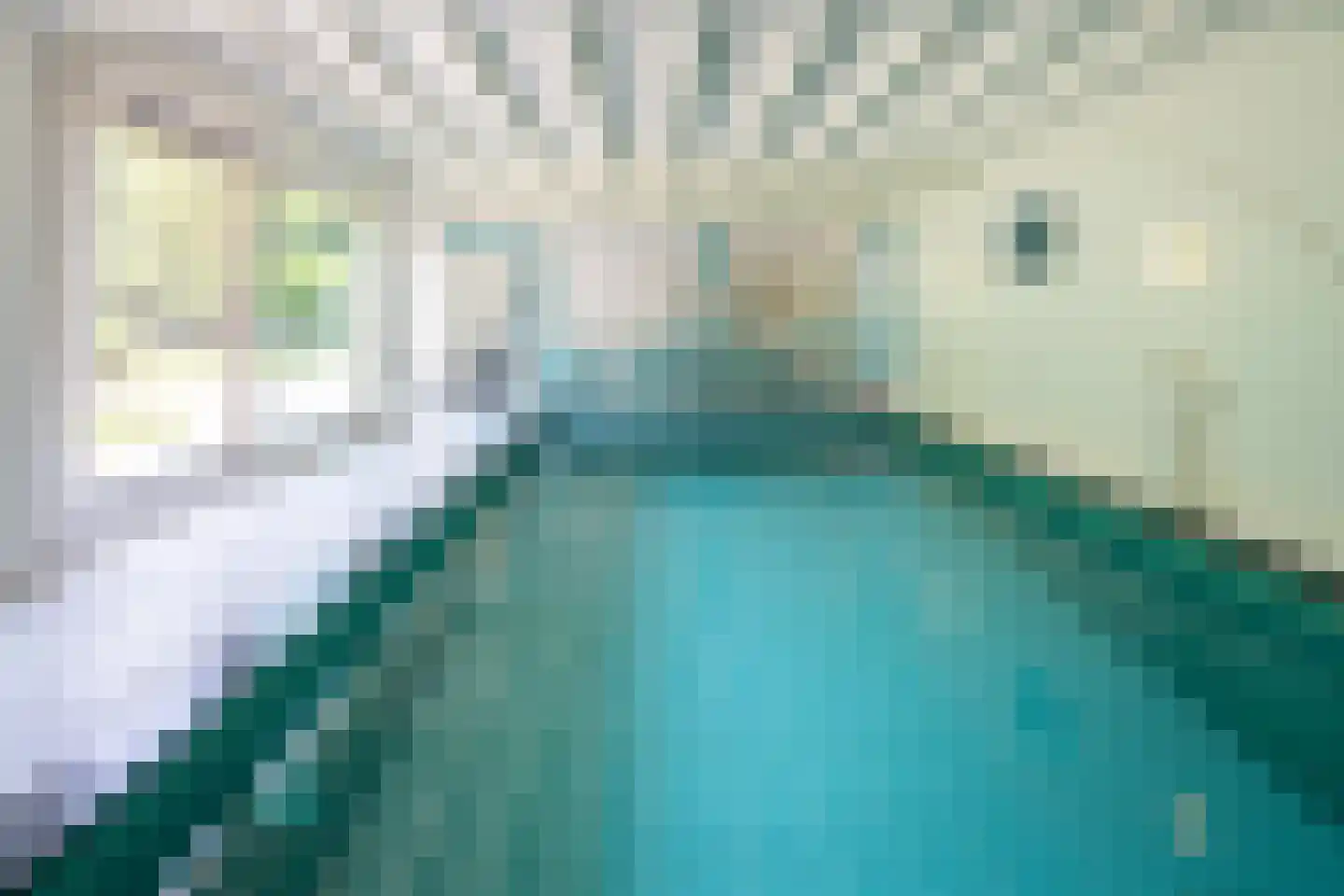 Berkenlaan 4 A Epe thumbnail 20