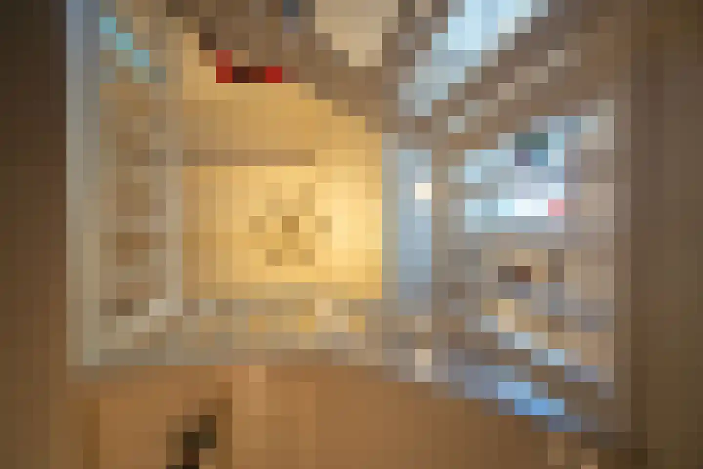 Berkenlaan 4 A Epe thumbnail 22