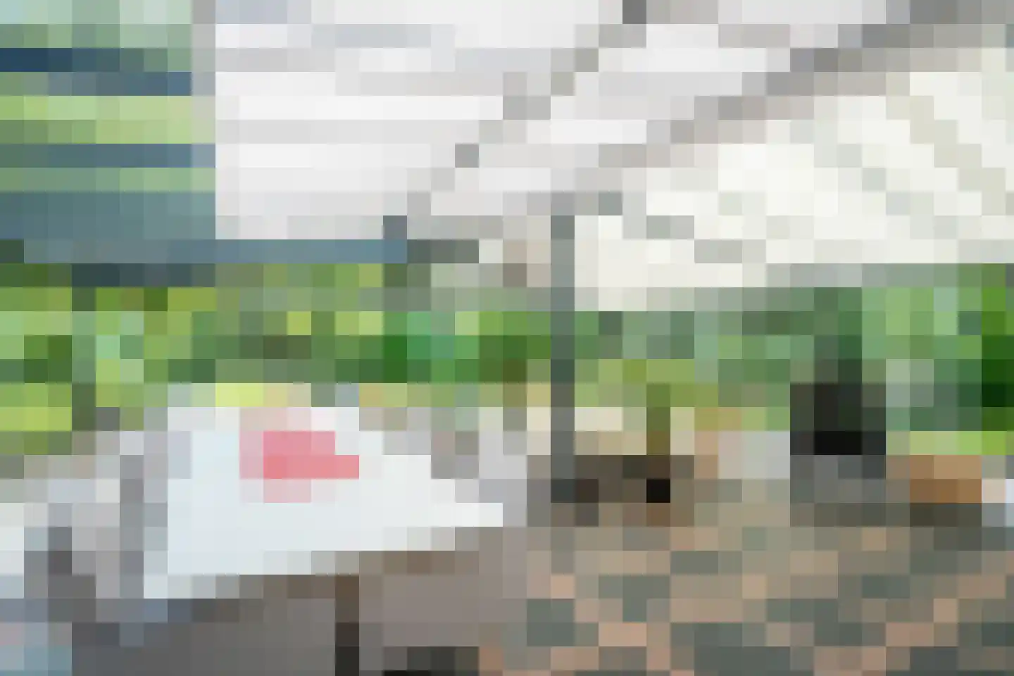 Berkenlaan 4 A Epe thumbnail 34