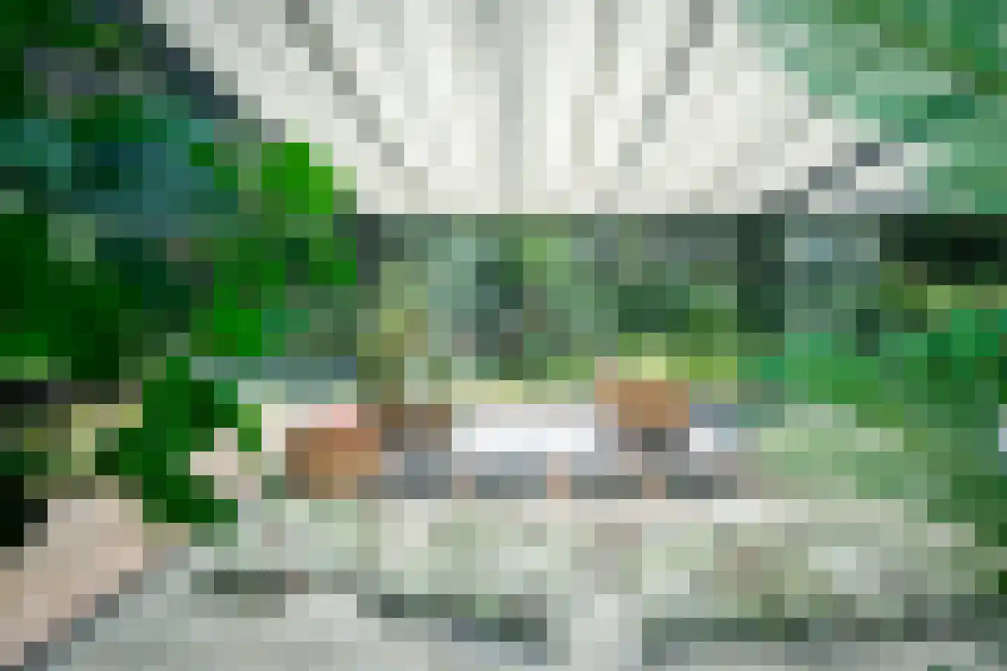 Berkenlaan 4 A Epe thumbnail 35