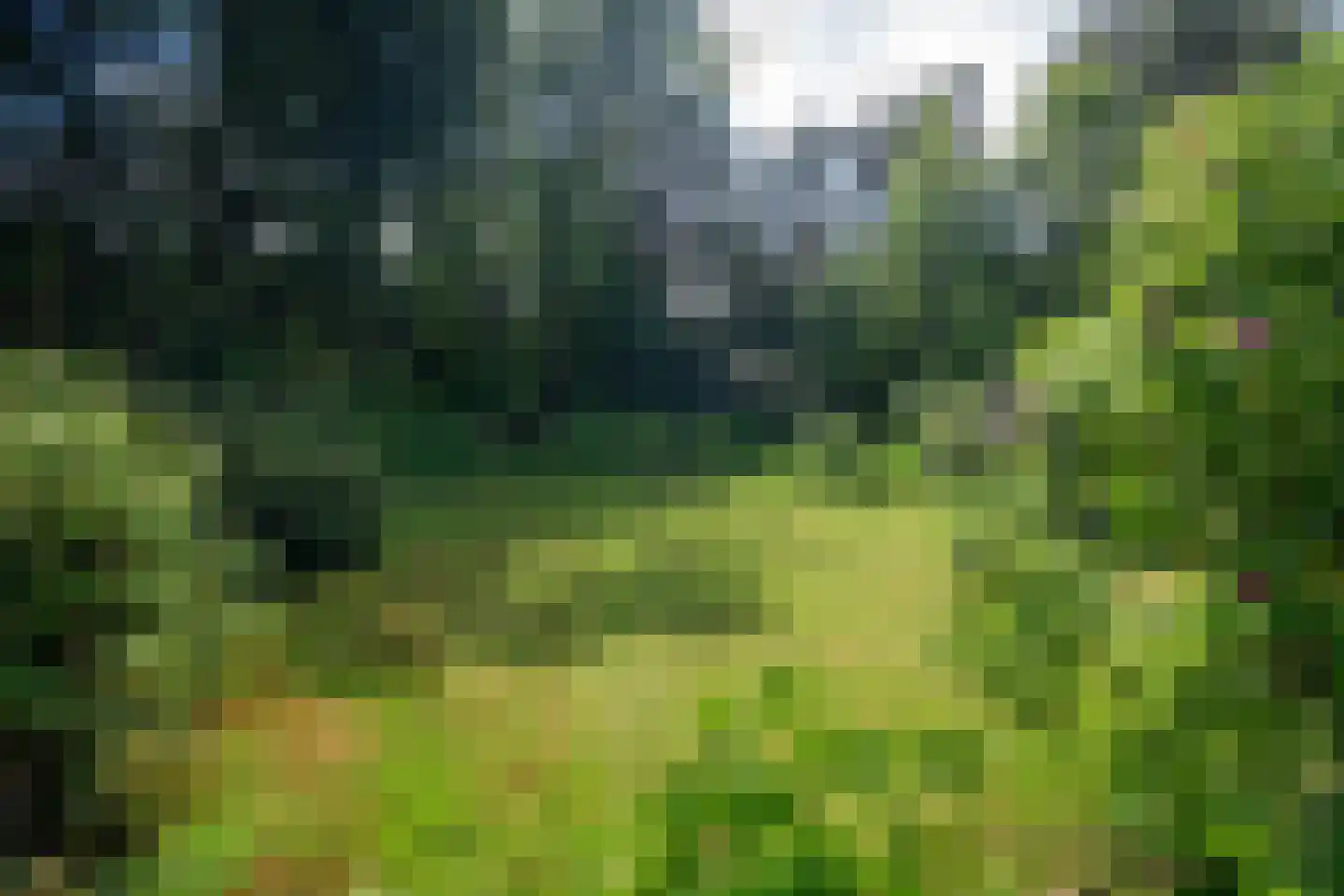 Berkenlaan 4 A Epe thumbnail 38