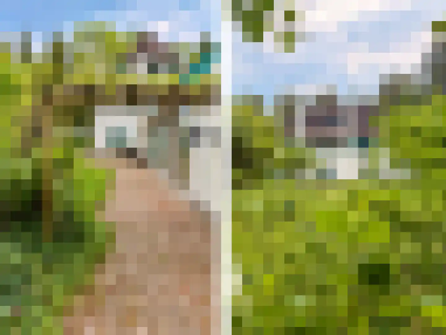 Berkenlaan 4 A Epe thumbnail 41
