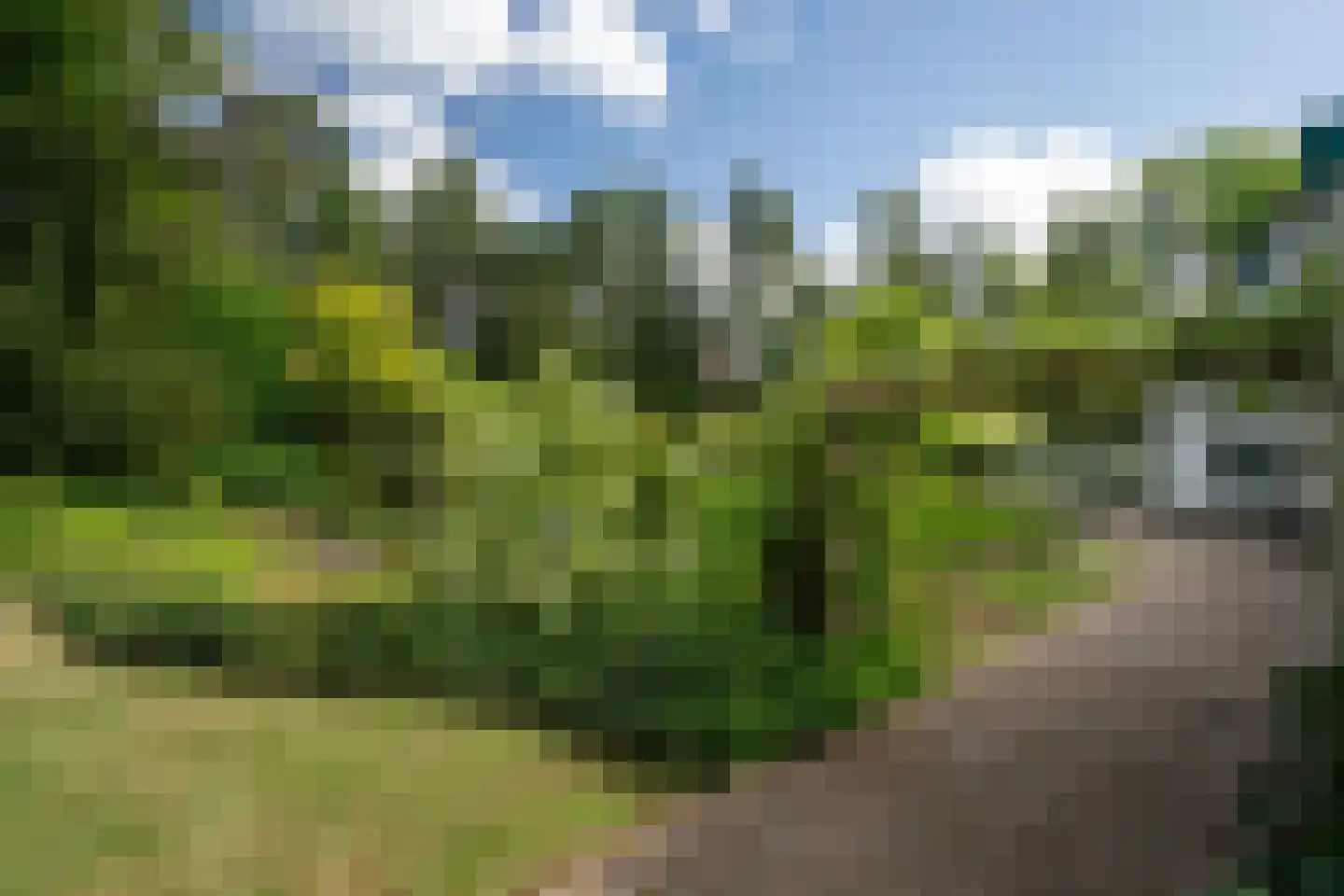Berkenlaan 4 A Epe thumbnail 42