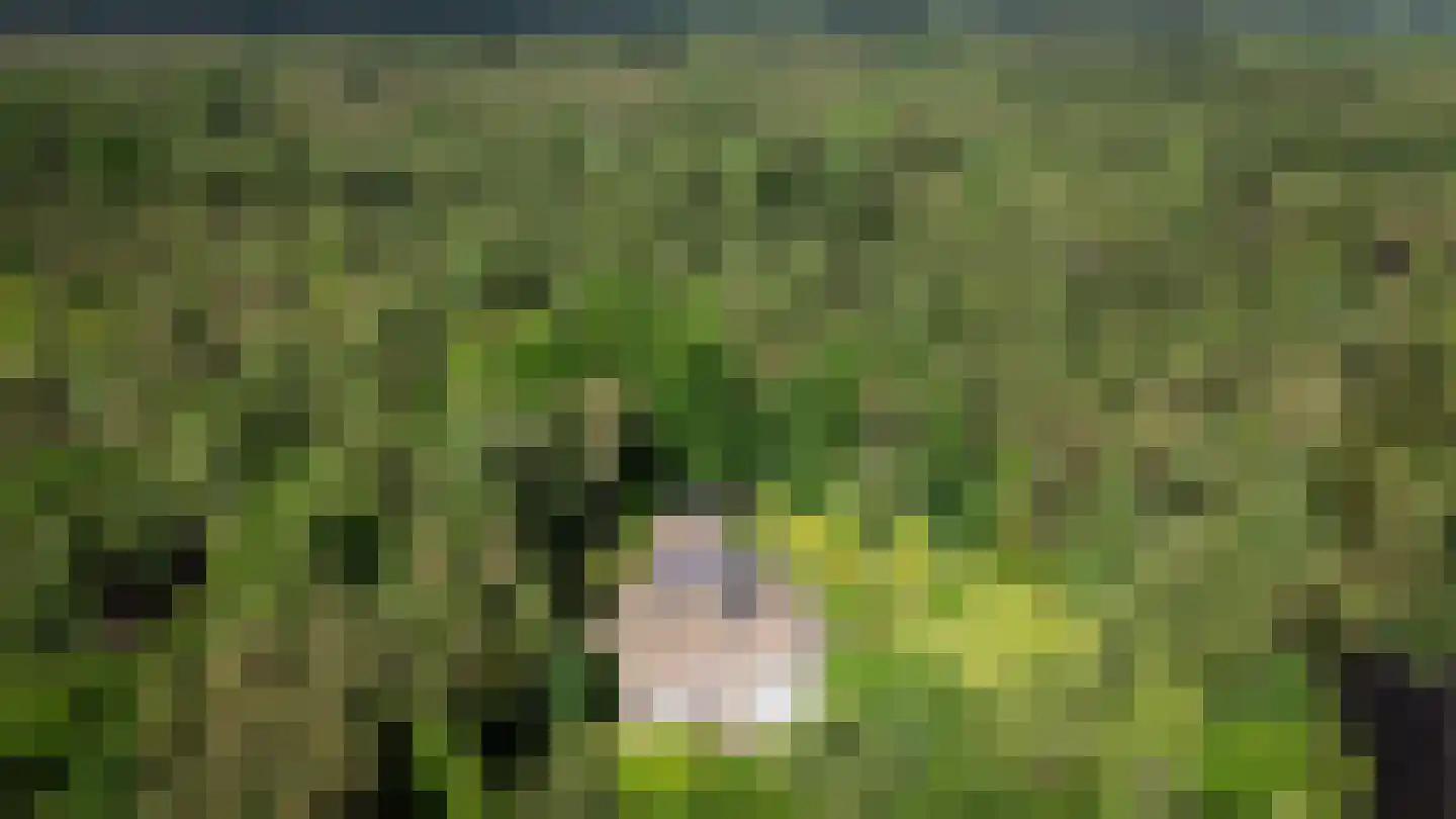 Berkenlaan 4 A Epe thumbnail 46