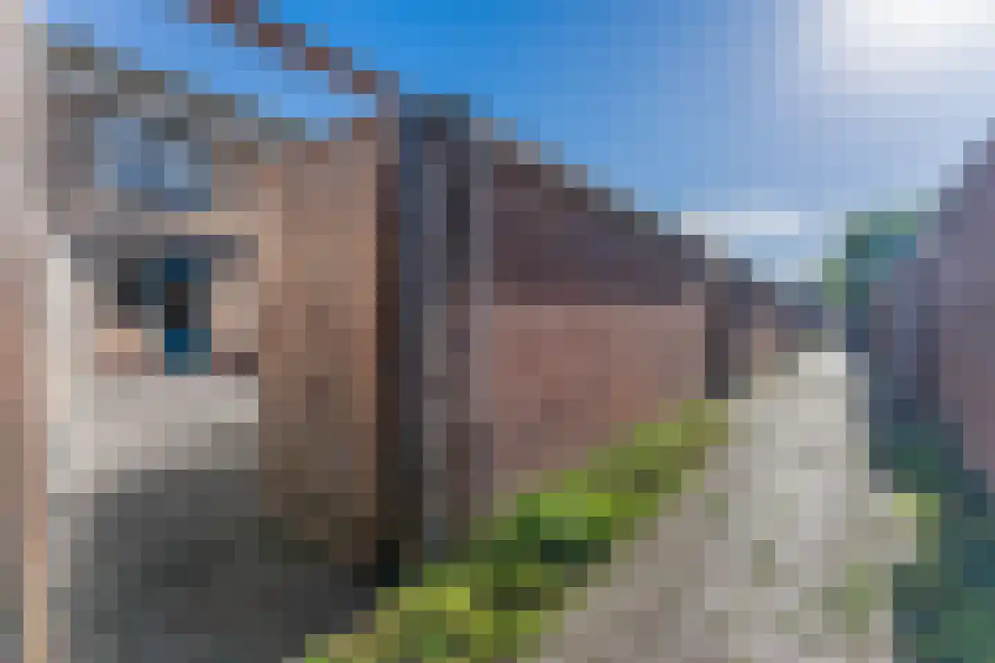 Berkenlaan 4 Enkhuizen thumbnail 11