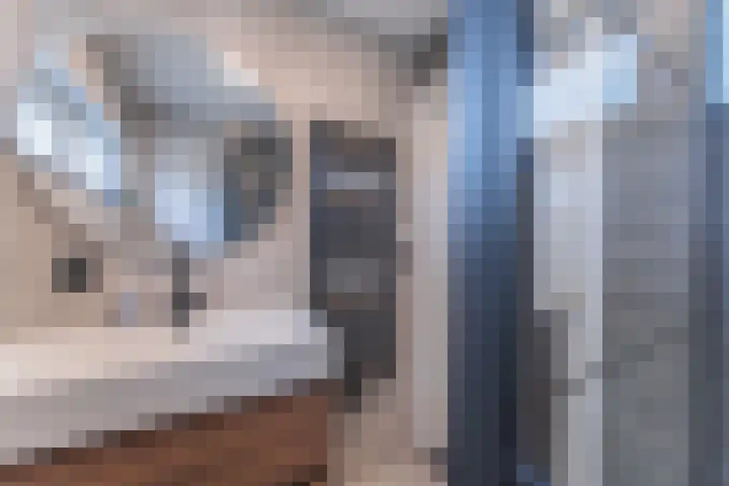 Berkenlaan 4 Enkhuizen thumbnail 29