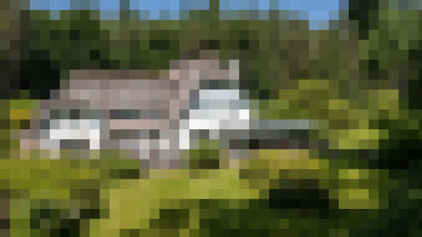 Berkenlaan 4 Epe thumbnail 31