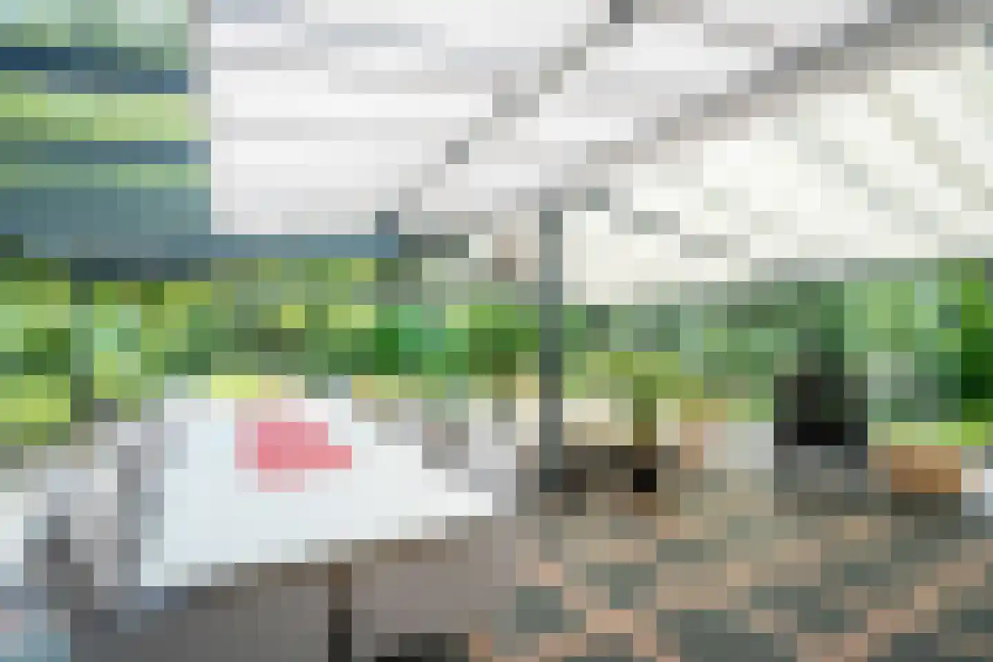 Berkenlaan 4 Epe thumbnail 33
