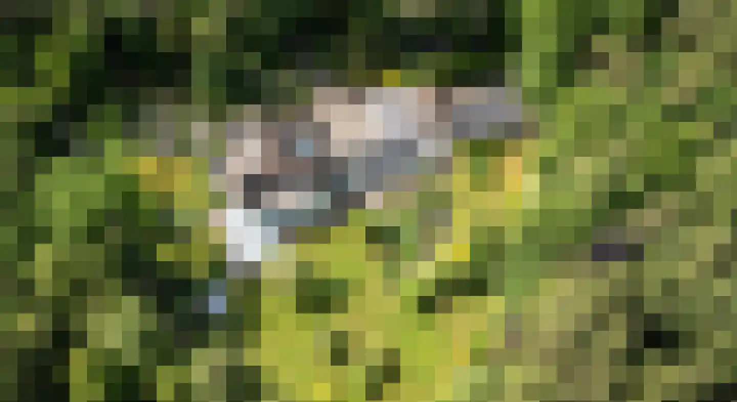 Berkenlaan 4 Epe thumbnail 43