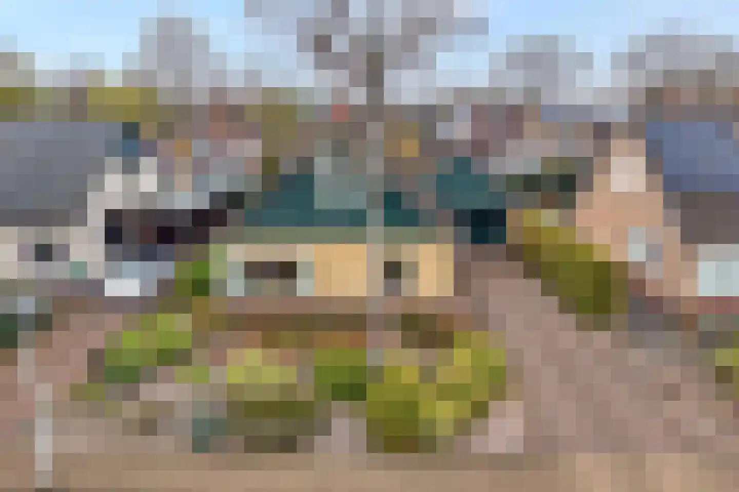Berkenlaan 4 Hardenberg