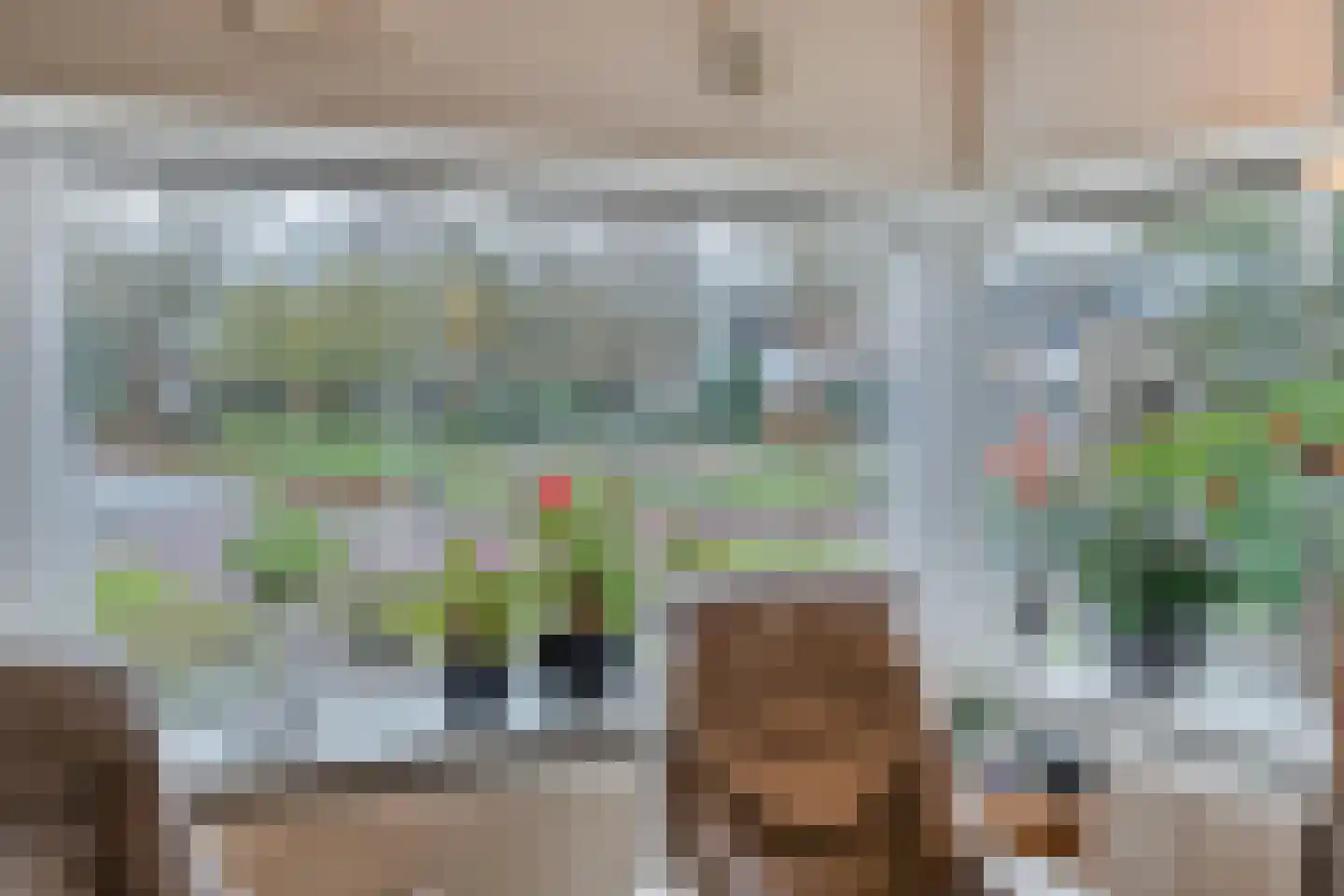 Berkenlaan 4 Hardenberg thumbnail 16