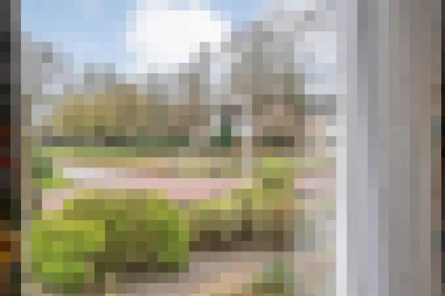 Berkenlaan 4 Hardenberg thumbnail 17