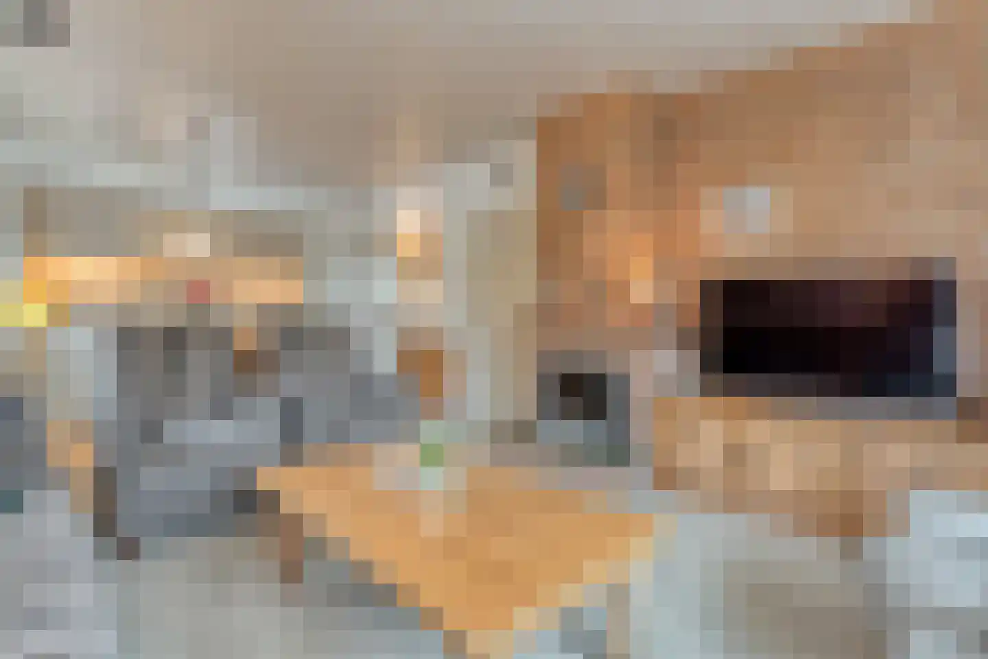 Berkenlaan 4 Hardenberg thumbnail 18