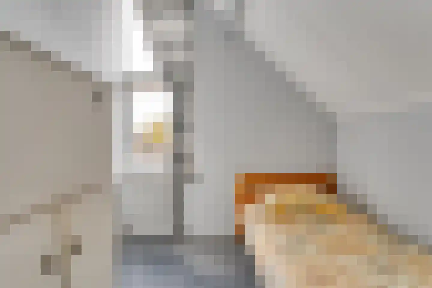 Berkenlaan 4 Hardenberg thumbnail 30